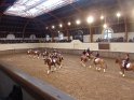 2012-11-13 17-33-50 Formations equestres